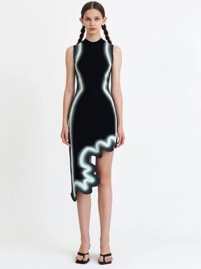 PH5 Brooklyn Wavy dress NWOT XS